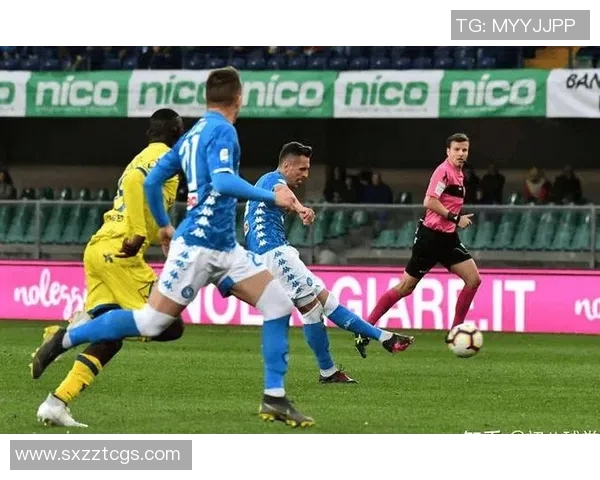 2019年2月尼奥特主场迎战南锡的精彩对决回顾与分析