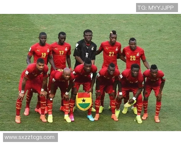 坦桑尼亚与阿尔及利亚激战比分揭晓精彩赛事回顾与分析 坦桑尼亚与阿尔及利亚激战比分揭晓精彩赛事回顾与分析