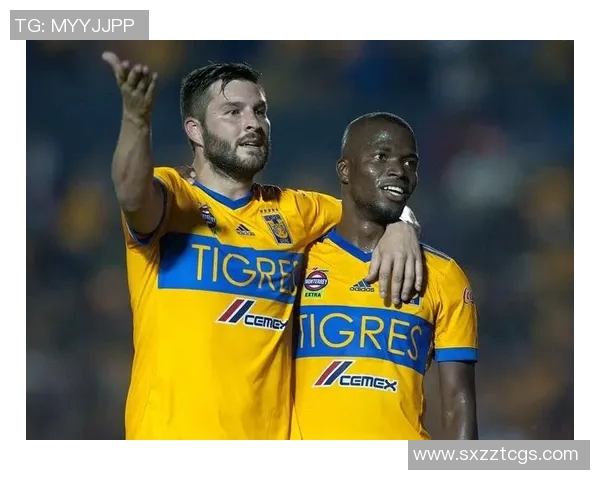 美洲狮与阿特拉斯的生存之争与生态平衡探讨