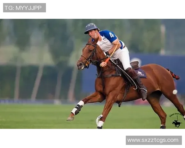 索肖与巴黎激战正酣精彩瞬间回顾与赛后分析