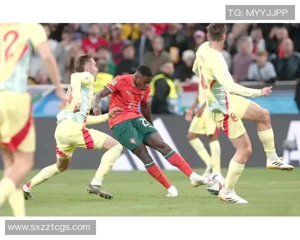 激情对决葡萄牙与西班牙足球赛精彩回顾与分析