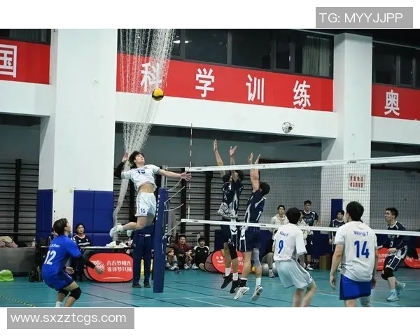 南京排球队状态分析与未来展望聚焦球队训练与比赛表现