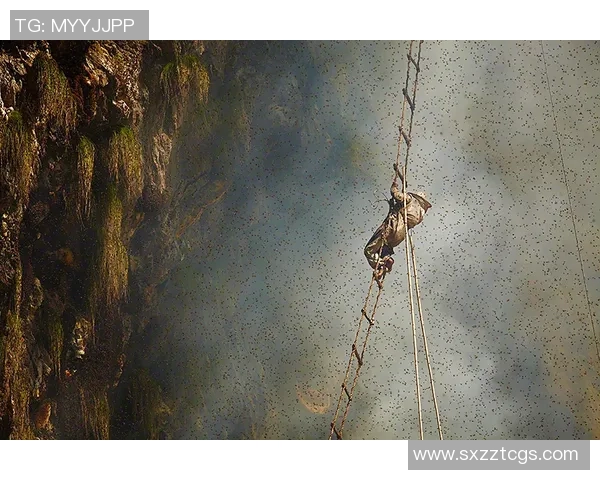 攀岩深度探索:揭秘杭州攀岩队的训练与控制技巧 攀岩深度探索:揭秘杭州攀岩队的训练与控制技巧