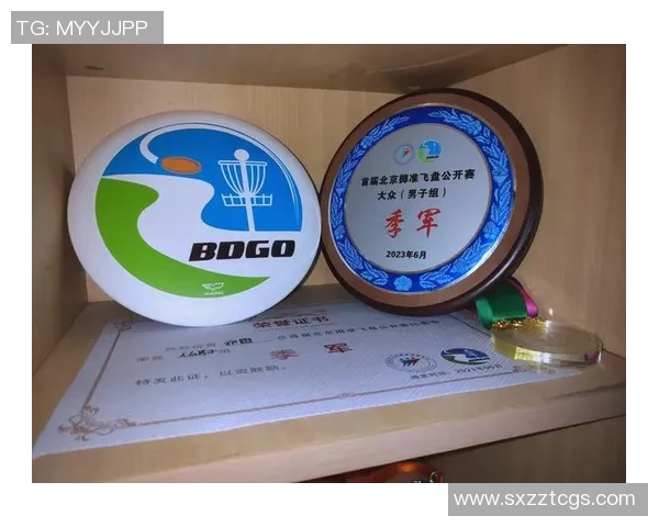 飞盘盛宴：深入了解上海飞盘队的实力与魅力