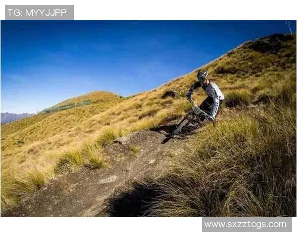 极限运动的战术解析：深圳极限运动队如何构建区域防守体系